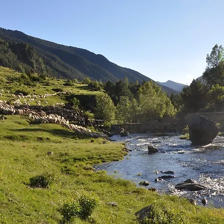 La Peguera * Bohi